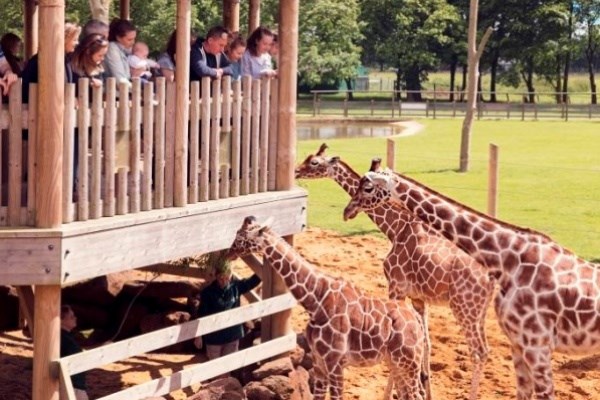 Picture of Entry to ZSL Whipsnade Zoo for Two Adults