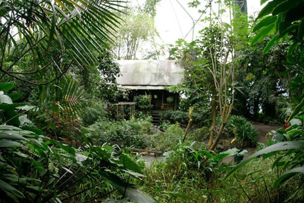 Picture of Rainforest Biome Private Tour for Two at The Eden Project