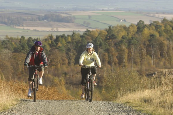 Picture of Mountain Biking for Two at Gorsebank